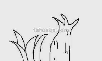简笔画海棠花怎么画 简笔画之海棠花的画法？