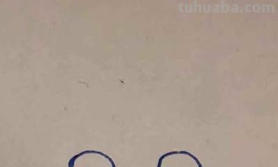 玩具车怎么画简笔画 简笔画玩具车的画法？