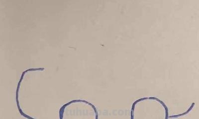 玩具车怎么画简笔画 简笔画玩具车的画法？