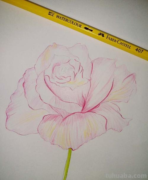 彩铅素描能画什么颜料 能在彩铅笔画的图上,再勺上白线条的笔有哪几种?谢谢?