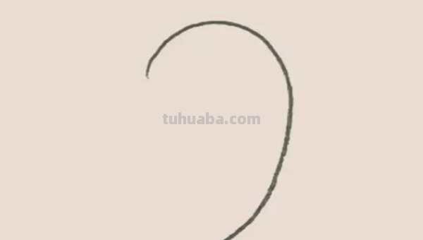 海豚的简笔画怎么画 海豚的简笔画怎么画