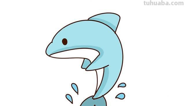 海豚简笔画 海豚简笔画图片带颜色