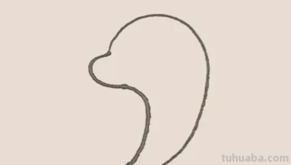 海豚的简笔画怎么画 海豚的简笔画怎么画