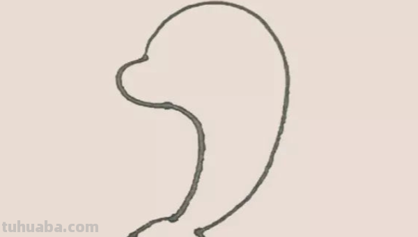 海豚的简笔画怎么画 海豚的简笔画怎么画