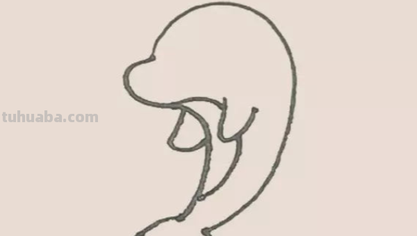海豚的简笔画怎么画 海豚的简笔画怎么画