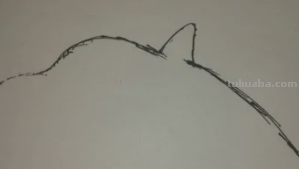 海豚怎么画简笔 海豚怎么画简笔