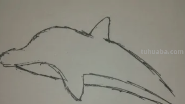 海豚怎么画简笔 海豚怎么画简笔