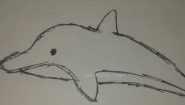 海豚怎么画简笔 海豚怎么画简笔