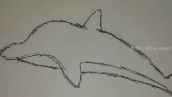 海豚怎么画简笔 海豚怎么画简笔