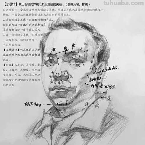 素描头像步骤及画法 素描头像步骤及画法视频教程