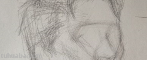人头像素描画法6步骤