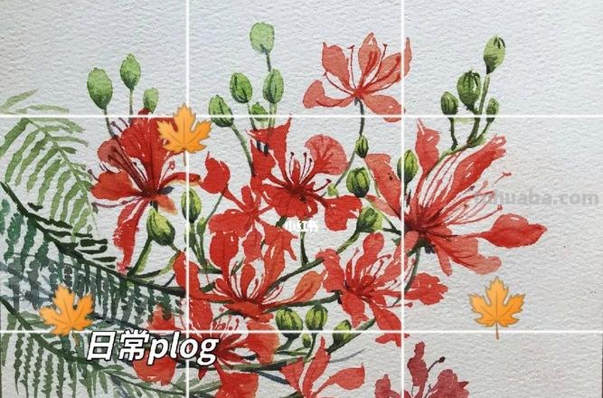 凤凰花水彩画 凤凰花水彩画教案