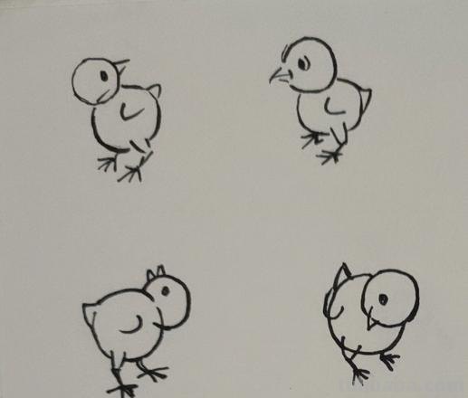 小鸡简笔画教程 小鸡简笔画教程视频