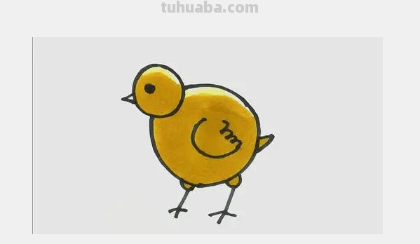 小鸡小鸭怎么画简笔画