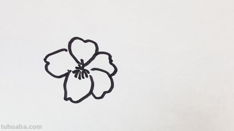樱花花瓣怎么画简笔画 画花朵简单漂亮樱花?