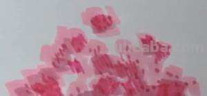 樱花花瓣怎么画简笔画 画花朵简单漂亮樱花？