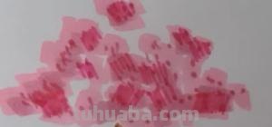樱花花瓣怎么画简笔画 画花朵简单漂亮樱花？