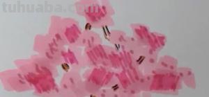 樱花花瓣怎么画简笔画 画花朵简单漂亮樱花？