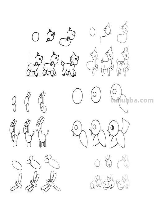 「多元智能」8组小动物的简笔画，花3分钟时间一学就会