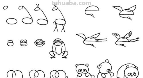 「多元智能」8组小动物的简笔画，花3分钟时间一学就会