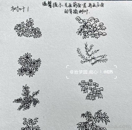 速写树叶画技巧 速写时怎么快速画出叶子而不失准？