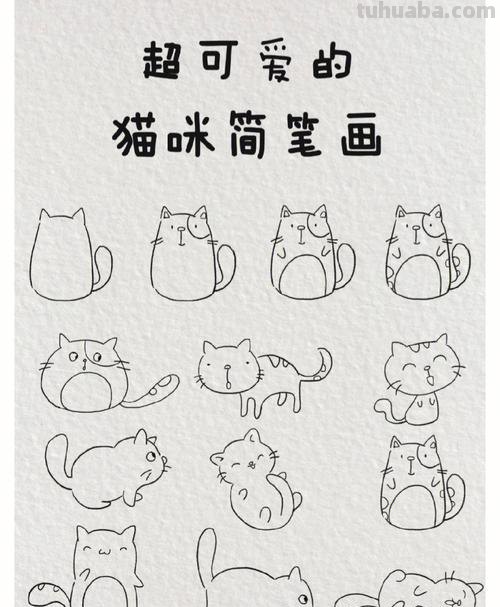 猫简笔画教程 猫简笔画教程视频