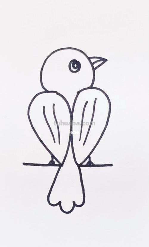 鸟简笔画教程 鸟简笔画教程视频