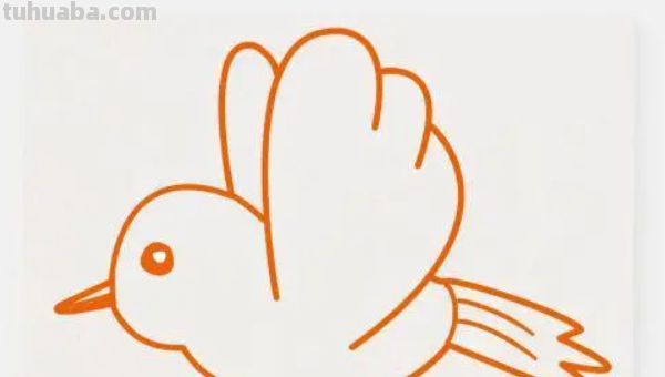 小鸟简笔画小鸟怎么画