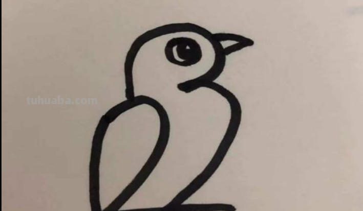 怎么画简笔画小鸟