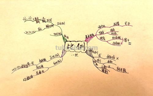 比数学思维导图怎么写 比例思维图咋画?
