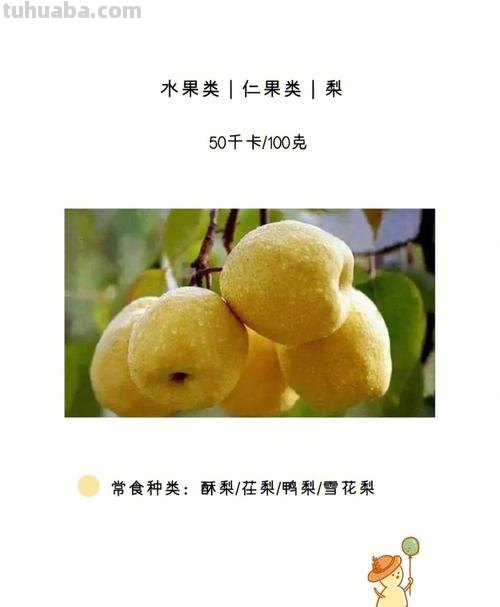 水果梨 水果梨的功效与作用