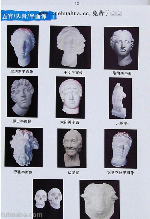 石膏像 石膏像人物及名称大全