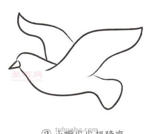 鸽子简笔画教程 鸽子简笔画教程视频