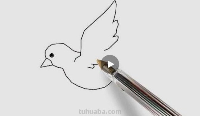 一笔画鸽子怎么画?