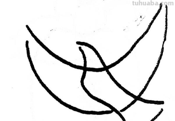 简笔画鸽子的画法
