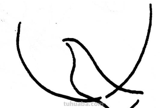 简笔画鸽子的画法