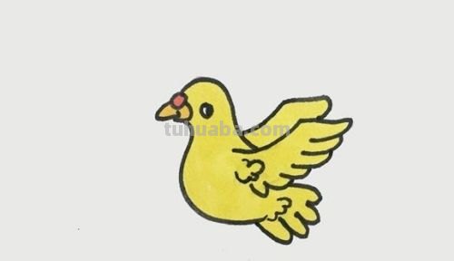 鸽子怎么画简单