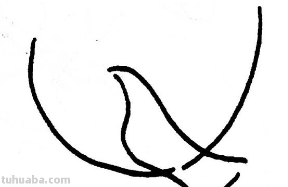 简笔画鸽子的画法