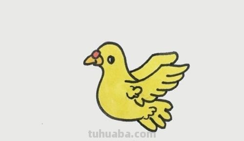 鸽子怎么画简笔画图片