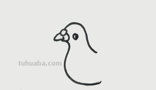 鸽子怎么画简笔画图片