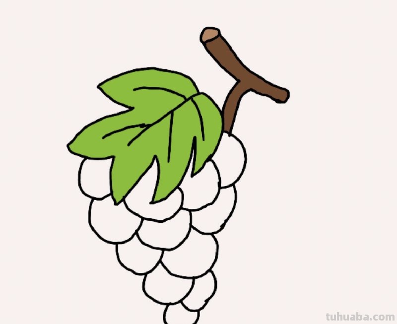 怎么画葡萄简笔画图片 小葡萄简笔画？