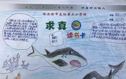 读书卡的照片小本子怎么做 阅读卡手帐怎样做?