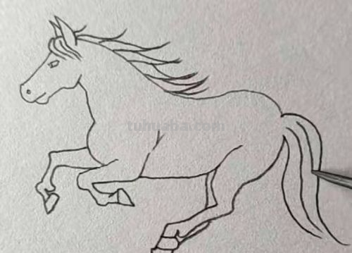 怎样画卡通小马简笔画?