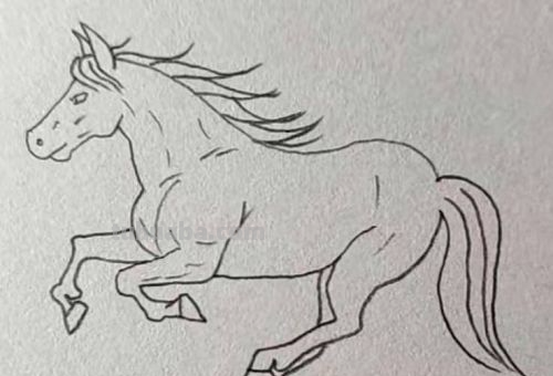 怎样画卡通小马简笔画?