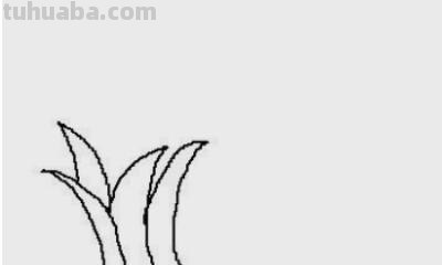 木棉花简笔画怎么画 如何画木棉花书签？