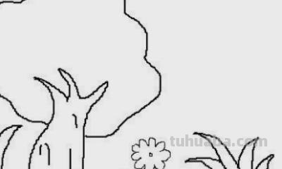 木棉花简笔画怎么画 如何画木棉花书签？