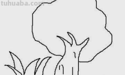 木棉花简笔画怎么画 如何画木棉花书签？