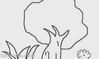 木棉花简笔画怎么画 如何画木棉花书签？