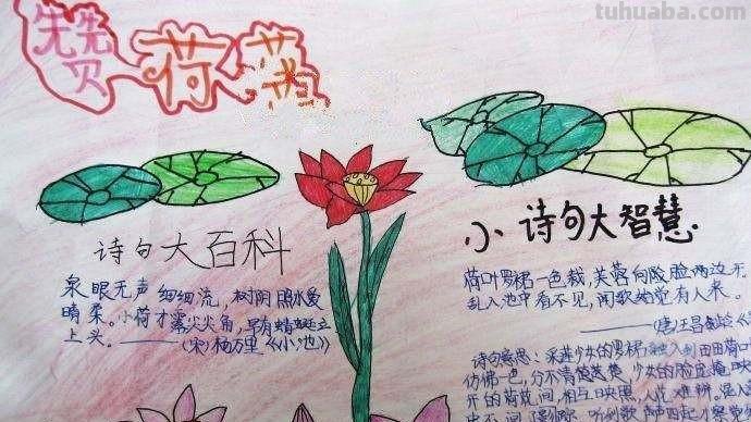 荷花怎么画 手抄报 关于荷花的手抄报上可以画一些什么样图画?(求图或者解答)?