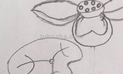 荷花怎么画 手抄报 关于荷花的手抄报上可以画一些什么样图画？（求图或者解答）？